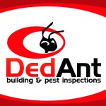 Building Inspections Logan – Dedant Building and Pest Inspections